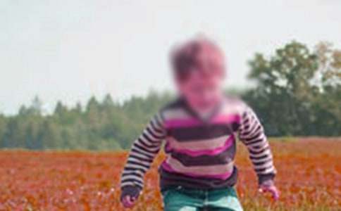 ���漣�к����ۺ��(���15ƪ)