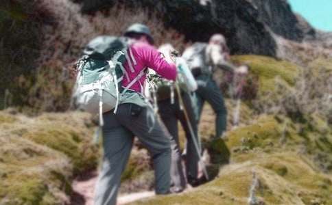 爬山经历作文600字三篇