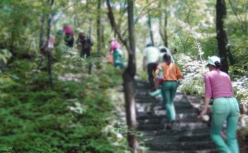 爬山的日记模板合集五篇