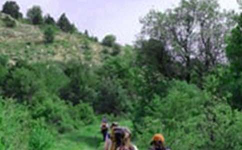 【必备】爬山游记作文4篇