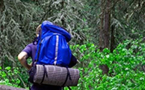 ���ȡ���ɽ�μ�����15ƪ