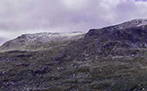 ��ɽ����ʾ����600��10ƪ