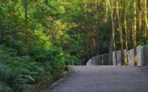 �й���ɽ�μ�����3ƪ