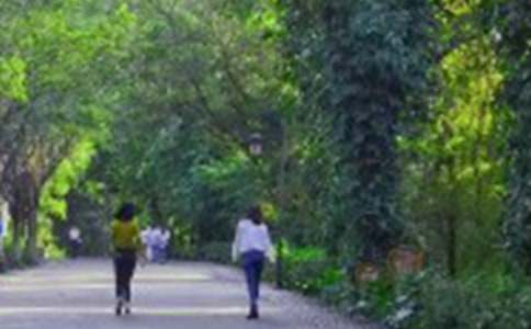 ��ɽ������600��