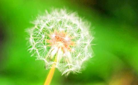 �����ѹ�ӢСѧ���Ļ���6ƪ