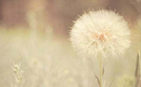 ��ѡ�ѹ�Ӣ����������300����ƪ