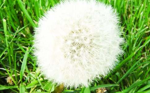 �ѹ�Ӣ���ģ���ѡ90ƪ��