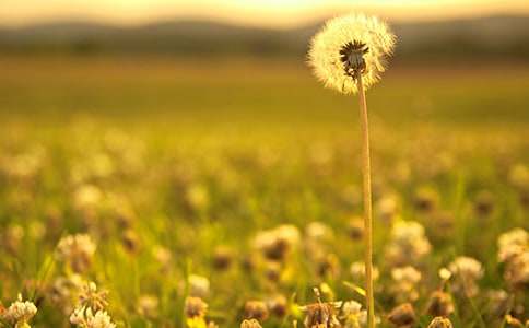 �ѹ�Ӣ������600��3ƪ