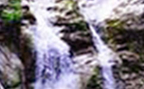 精选观瀑布作文300字五篇