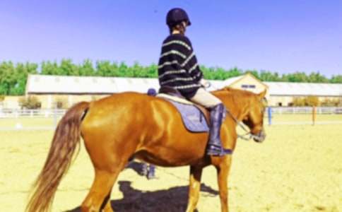 �й���������300��7ƪ