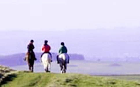 ѧ����������