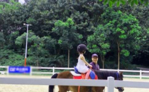 ���ر�����������300��3ƪ