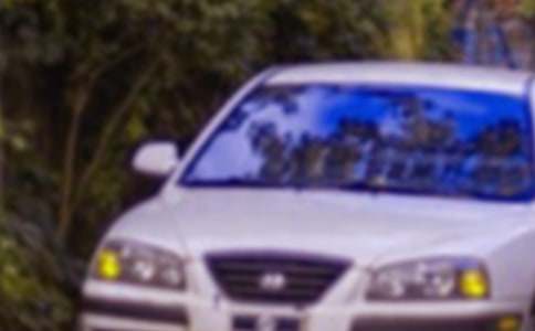 五一汽车活动方案