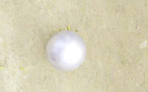 铅球加油稿通用15篇