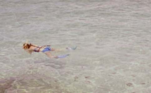 第一次潜水作文