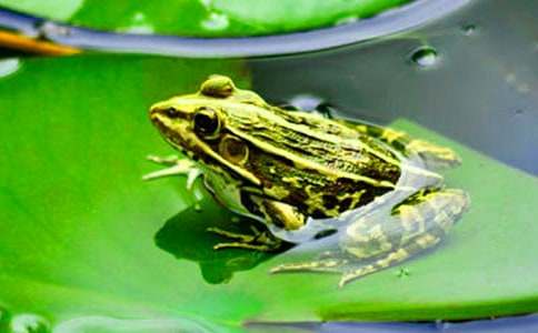 �й��������꼶���Ļ���10ƪ