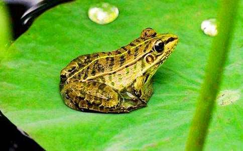 ���ܾ�С�з˯ǰ����