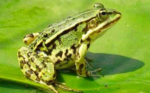 �й�������С��˯ǰ����