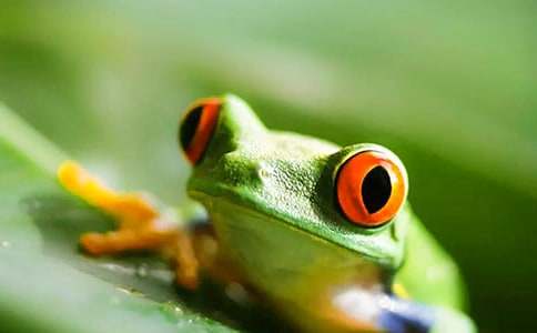 ��ִ������˯ǰ����