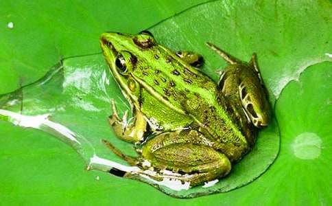 ���ݳ����С����˯ǰ����