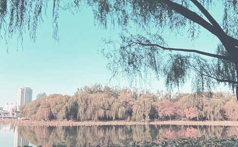 秋季保育工作计划