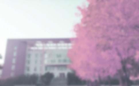 秋季少先队活动总结