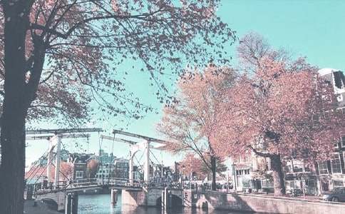 �й��＾�����ƻ�ģ����ƪ