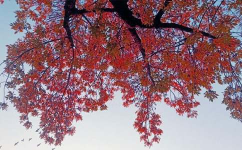 ����ů������800�֣�ͨ��24ƪ��