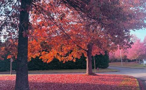 ʵ�õ���������600����ƪ