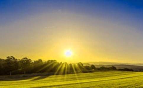 ����Ʒ�����꼶�ճ����ĺϼ�10ƪ