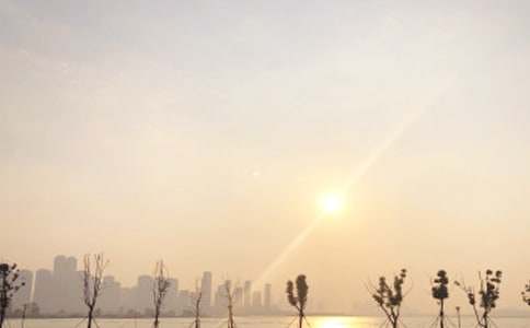 ��ɽ�ճ�����600����ƪ