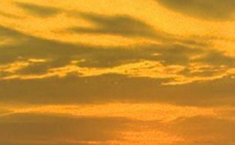 ���伴��Сѧ����