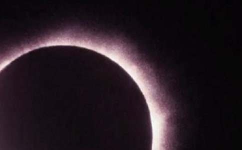 ��ʳ�۲��ռ�