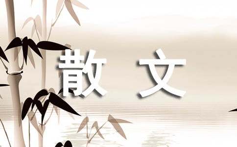 实用的散文的作文锦集6篇