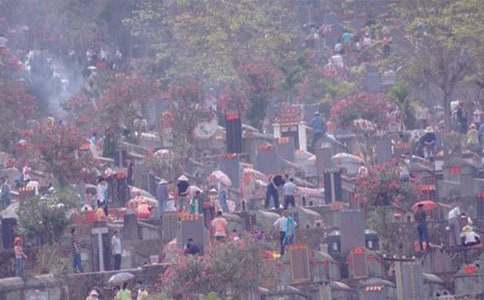 ����Сѧ��ɨĹ�ռǷ��Ļ��6ƪ