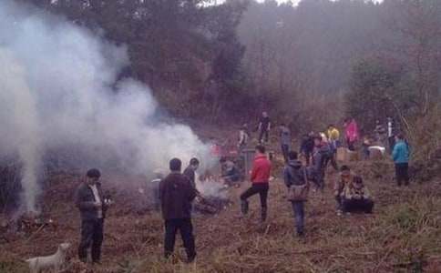 小学生扫墓日记集锦7篇