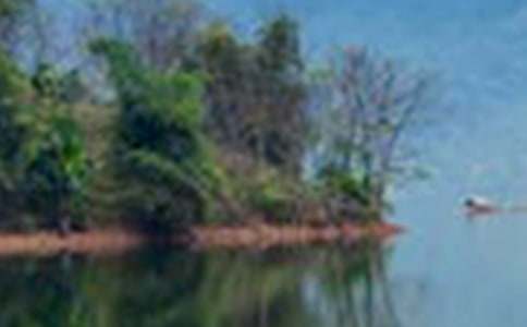 美丽的山水作文300字5篇