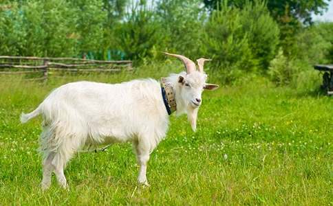 ��������Сɽ��˯ǰ����