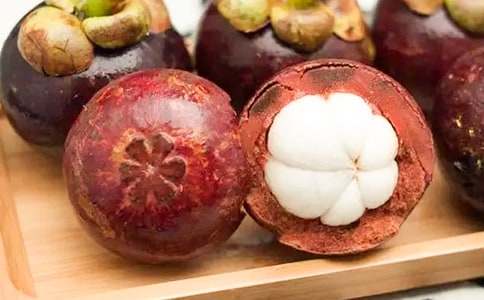 ɽ������600�־�ƪ