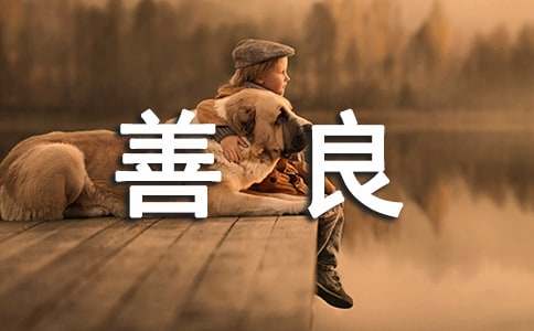 ѡ����������