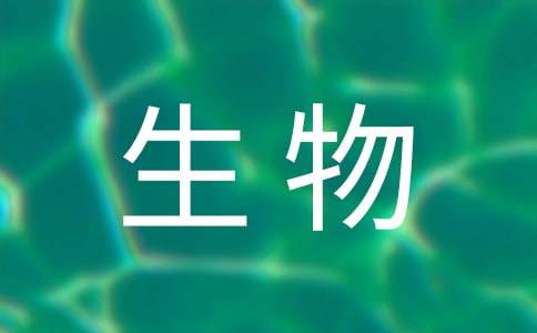实用的海洋生物作文集合6篇