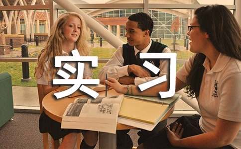 ʵϰת�������ܽ�4ƪ