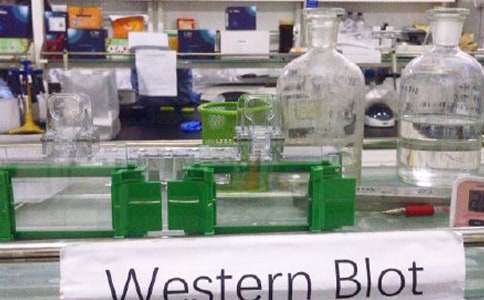 实验室安全的心得(精)