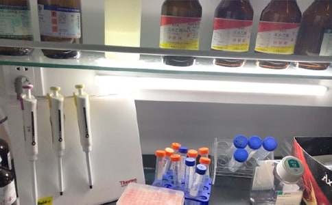 ����ʵ���ҹ����ƻ���ȫ15ƪ