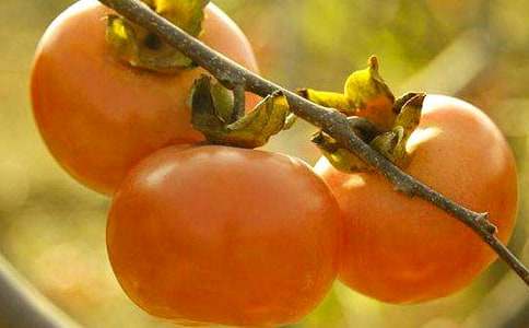 ��ѡ�������������300����ƪ