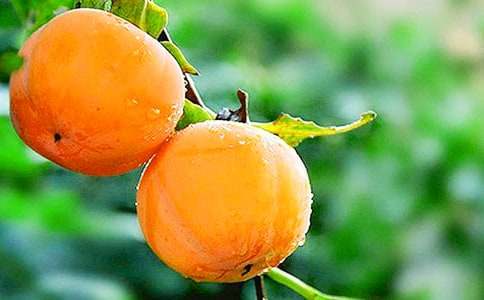 ��������600��(����)