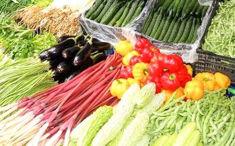 ��ʶ�߲�С�����Խ̰�