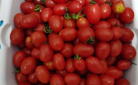 ����ѡ��ϲ��ˮ��������ƪ