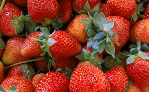 水果店作文集锦15篇