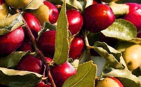 ˮ����������